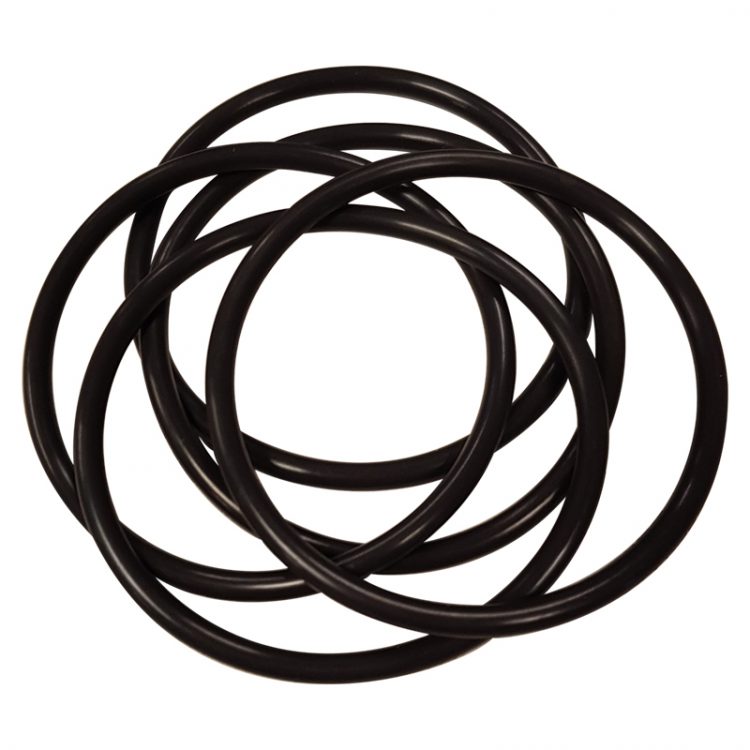 Sample Well O-ring, Viton (Pack of 5) - 13740-004 product image