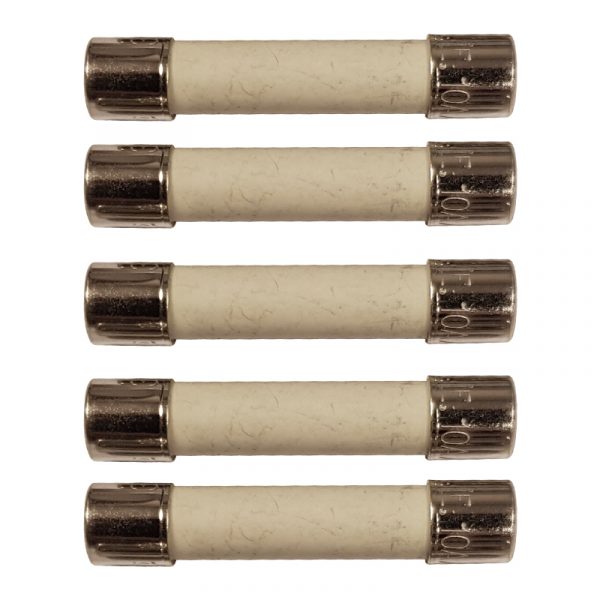 3289: Fuses (Pack of 5)