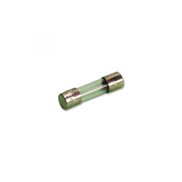 1690: Fuses (pack of 10)